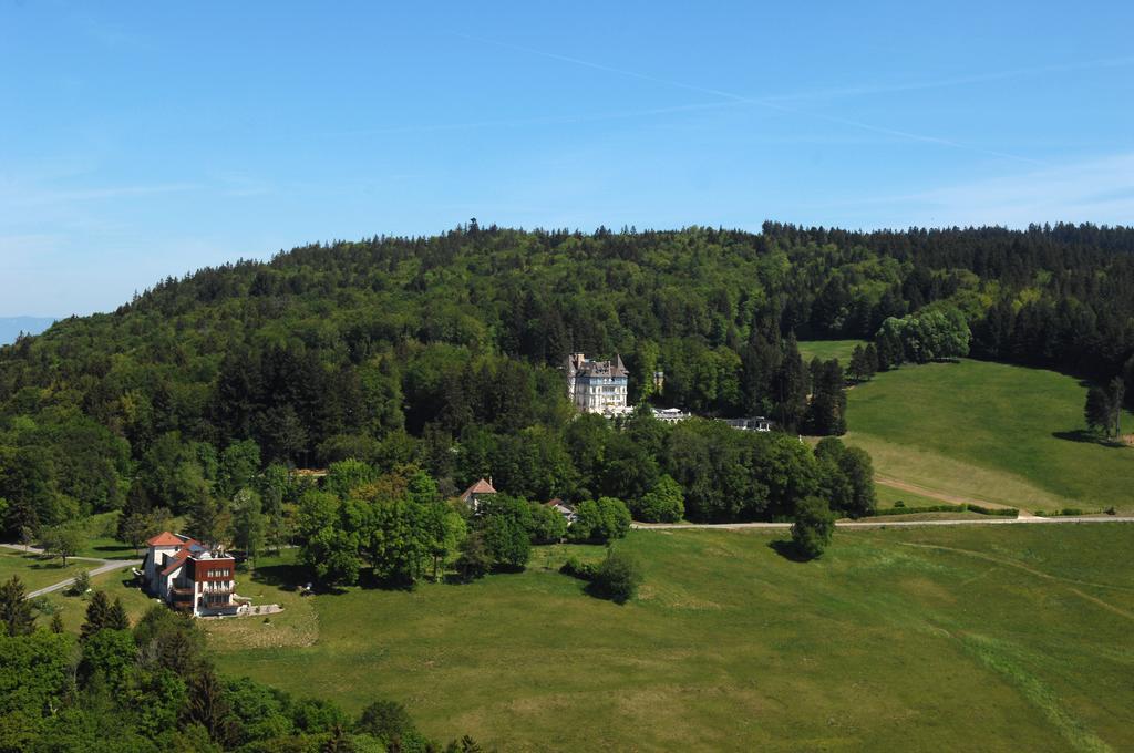 Chateau Des Avenieres Cruseilles Zewnętrze zdjęcie